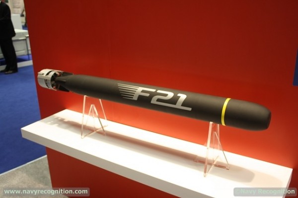 DCNS_f21_heavy_torpedo - Foto Navyrecognition