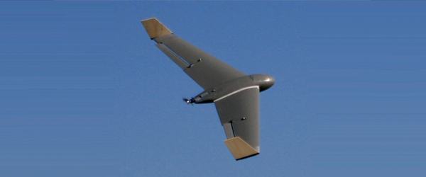 Santos-Carcara-2-UAV