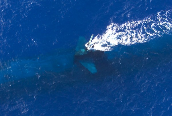 Foto meramente ilustrativa da visão aérea de um submarino na cota periscópica Periscópio