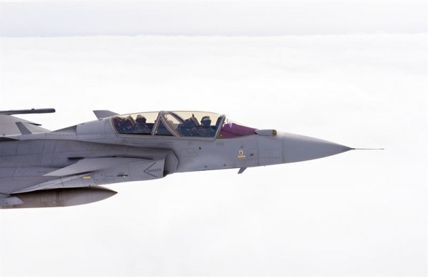 gripen irist