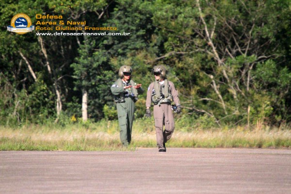 pilotos