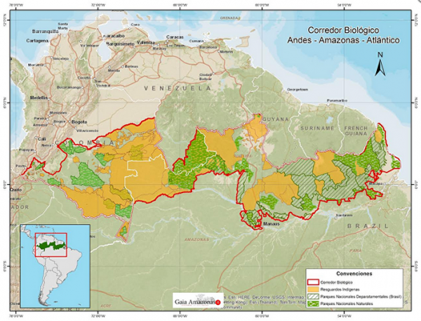 corredor ecologico