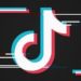 A ação do governo parecia especificamente direcionada ao TikTok, que foi recentemente encontrado acessando dados de usuários nos iPhones da Apple.