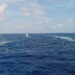 Foram realizados exercícios de manobras táticas, encerrando com o “HMS Medway” passando em continência ao NPa “Macau” e NPa “Bocaina”