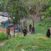 Soldados da 1ª Bda Inf SI patrulham a fronteira entre o Brasil e a Venezuela - Foto 1º Sgt Silveira Silva